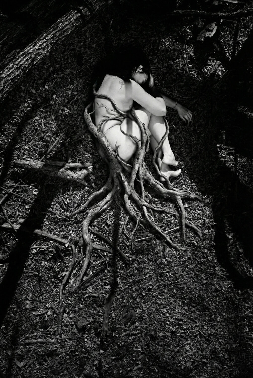 Photo #13707110