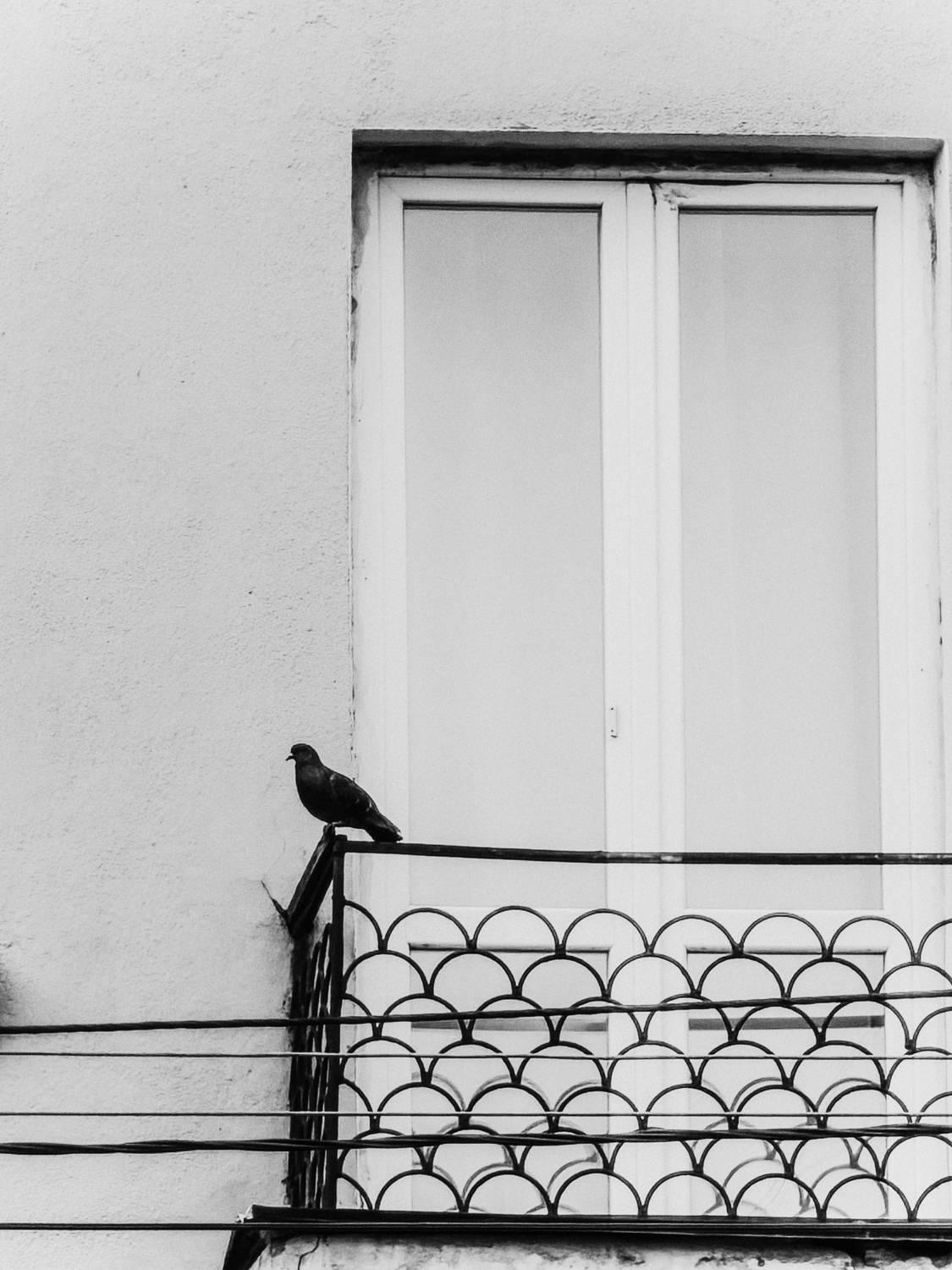 Photo #13707125