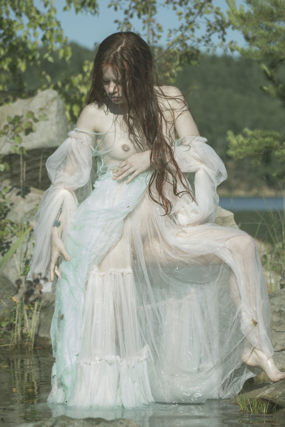 Photo #13707203