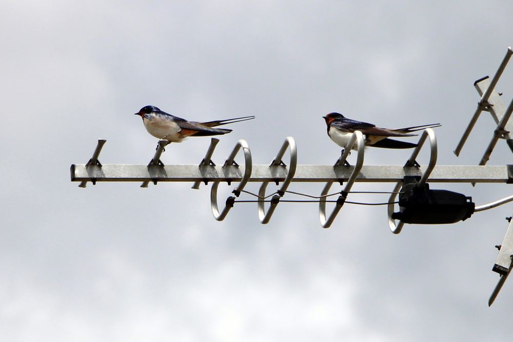 Photograph by Татьяна Иванникова