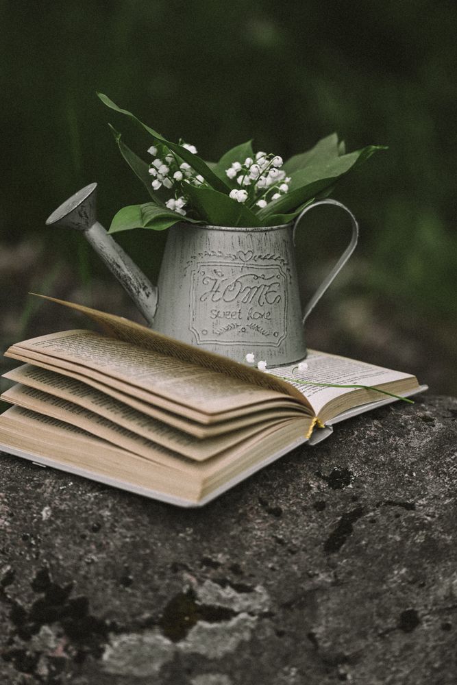 Photograph by Елизавета Шипулина