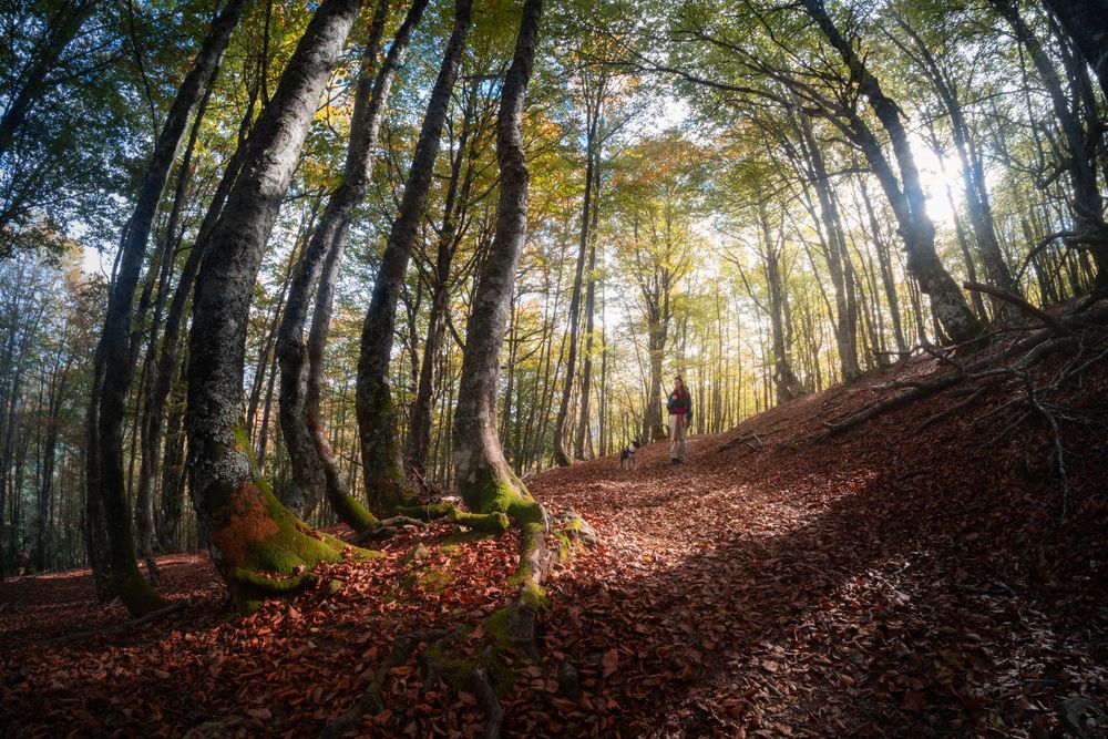 Photograph by david Navia