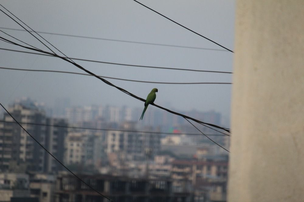 Photograph by YUKTA DESAI