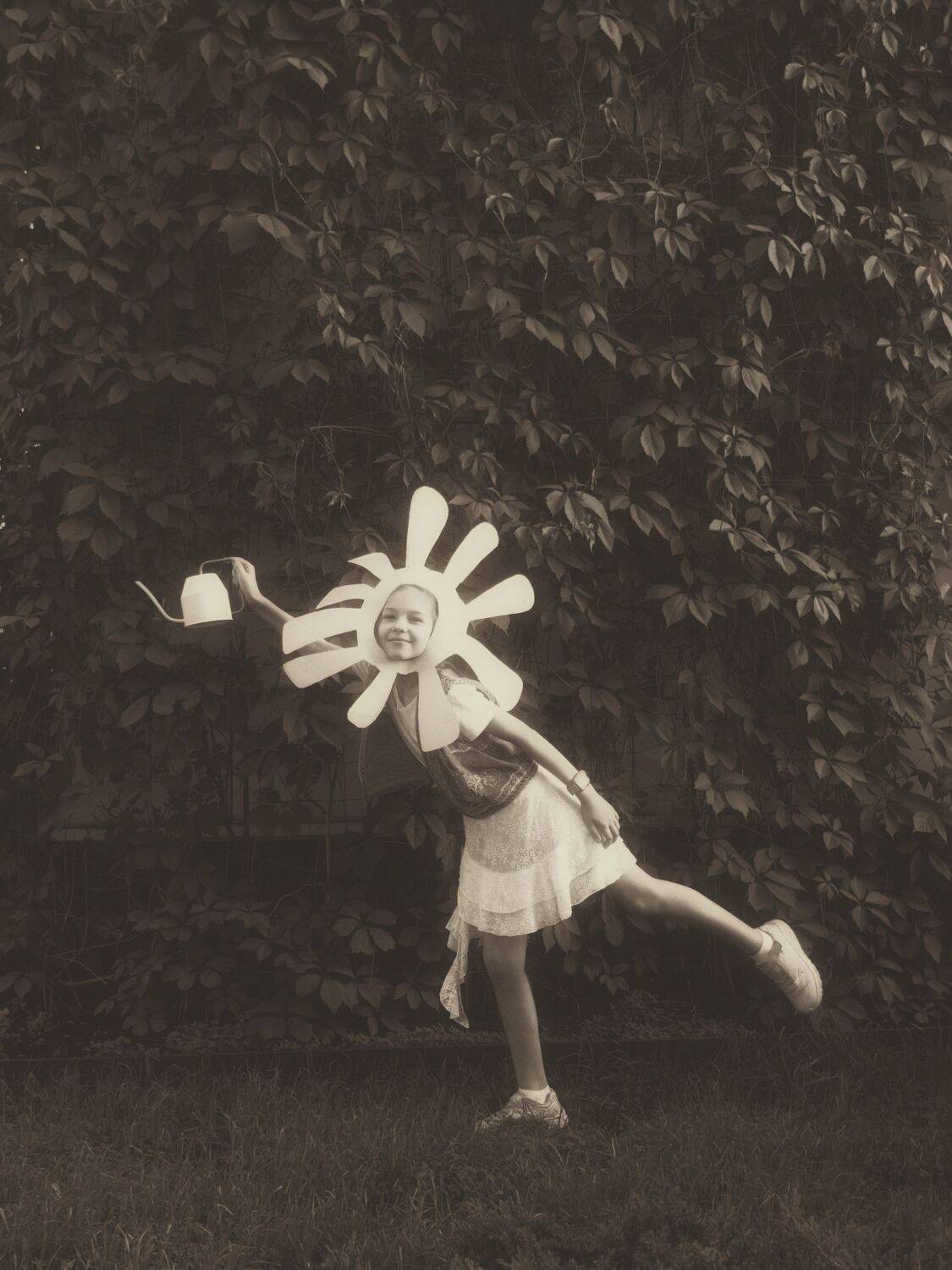 Photo #13707363