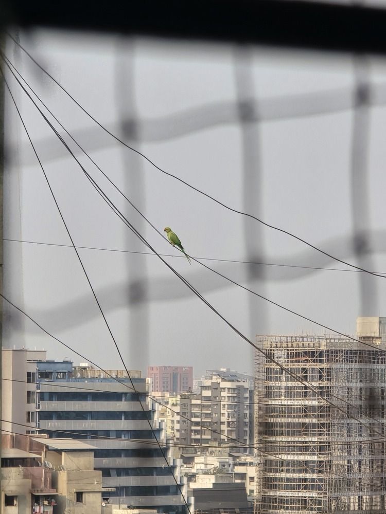 Photograph by YUKTA DESAI