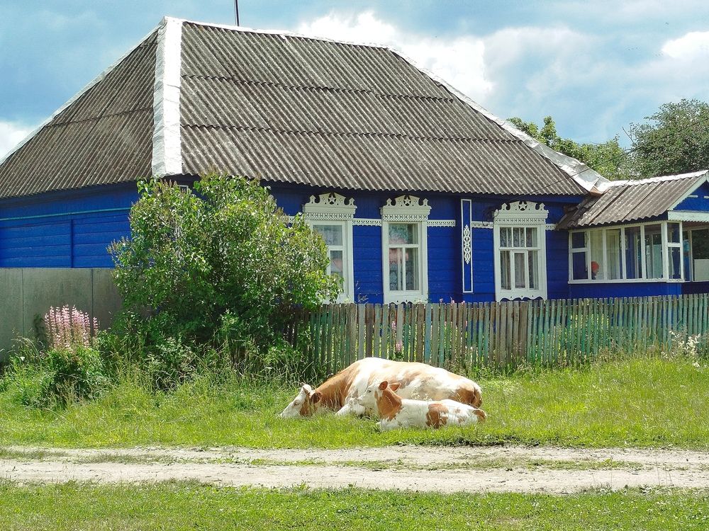 Деревенский пейзаж
