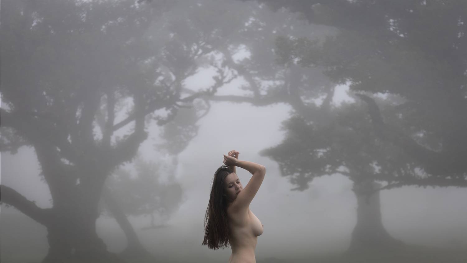 Photo #13707439