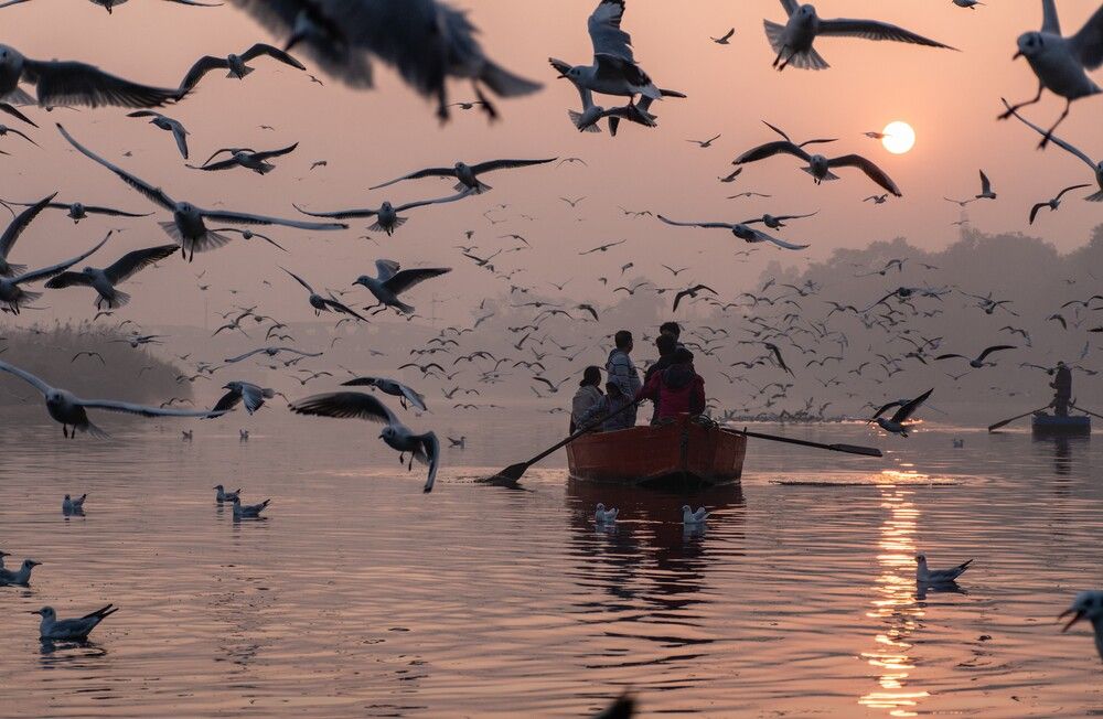 Фотография автора Zubair Irshad