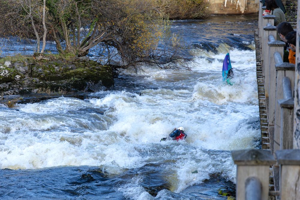 Photo #13707565