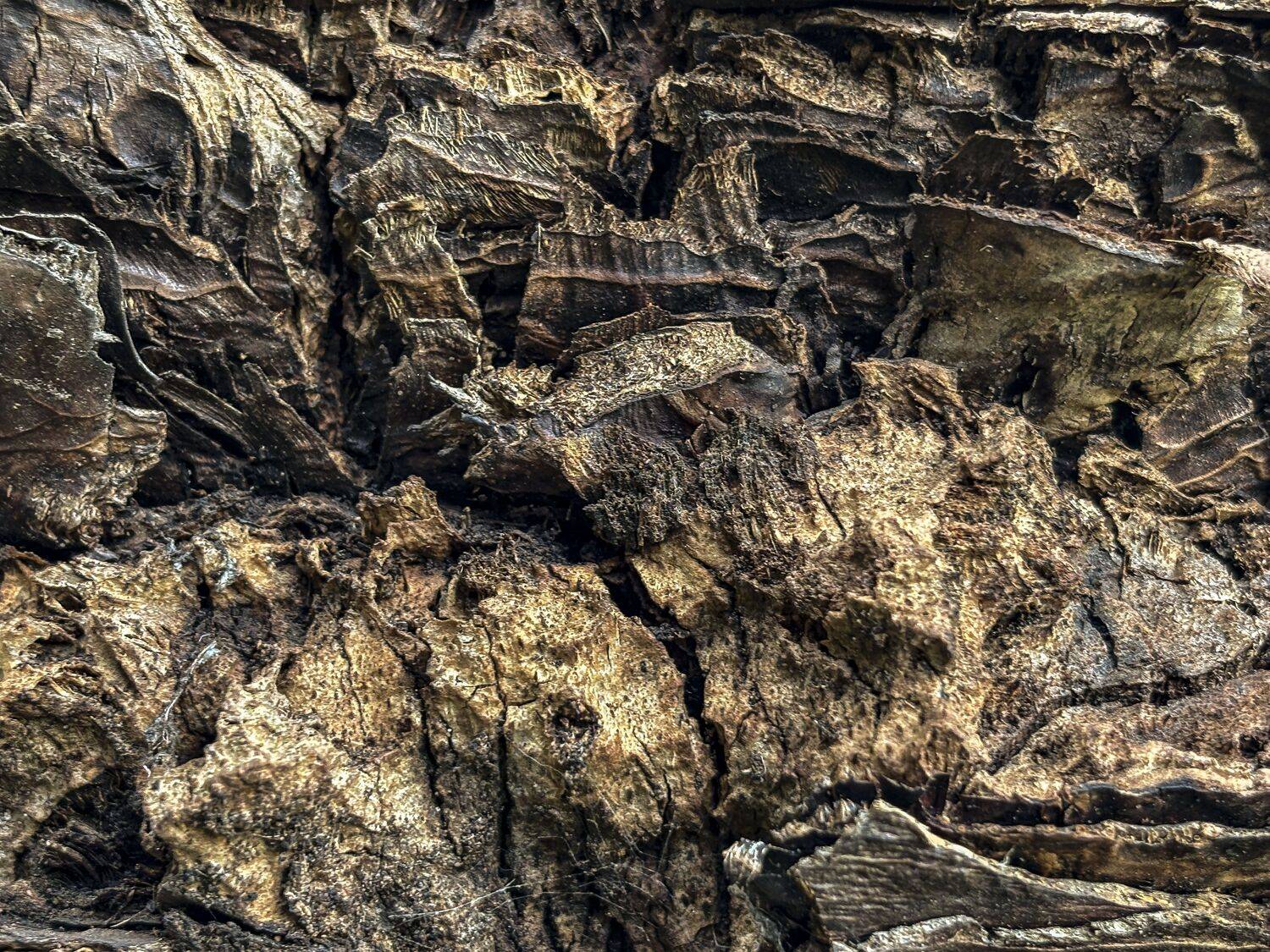 Nature 28
