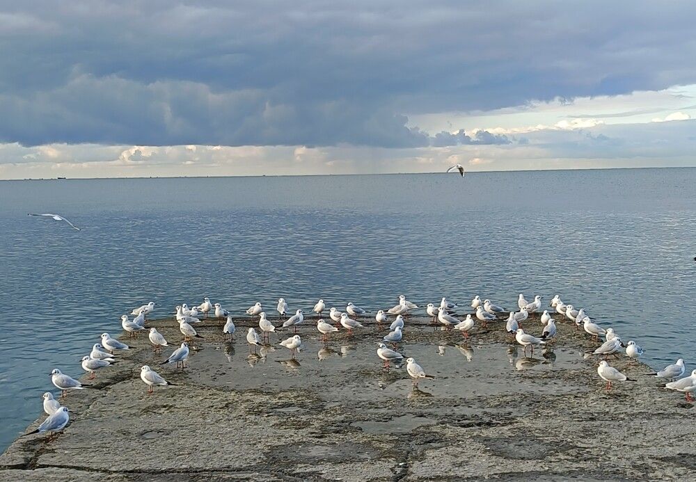 Photograph by Елена Александрова