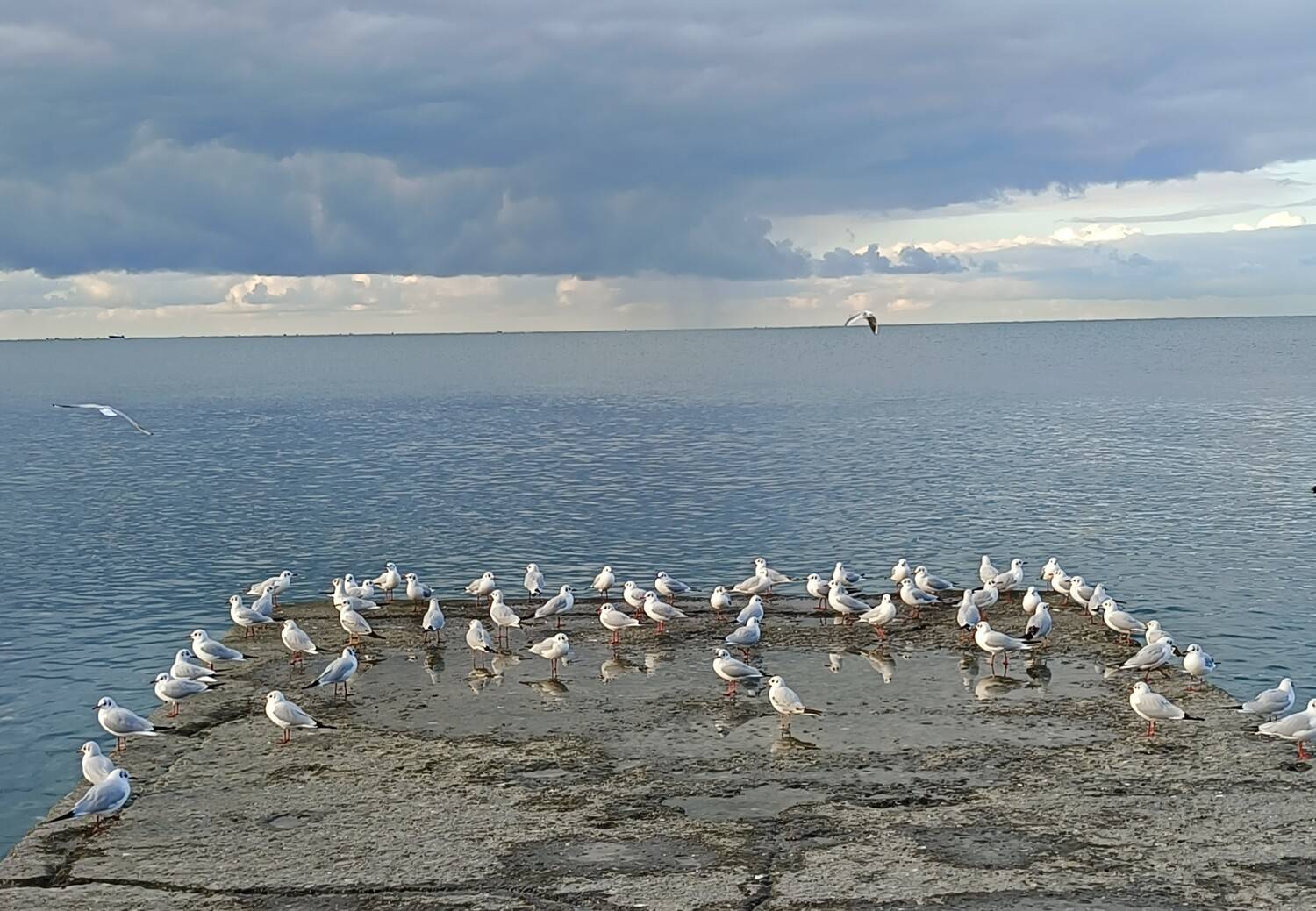 Photo #13707887