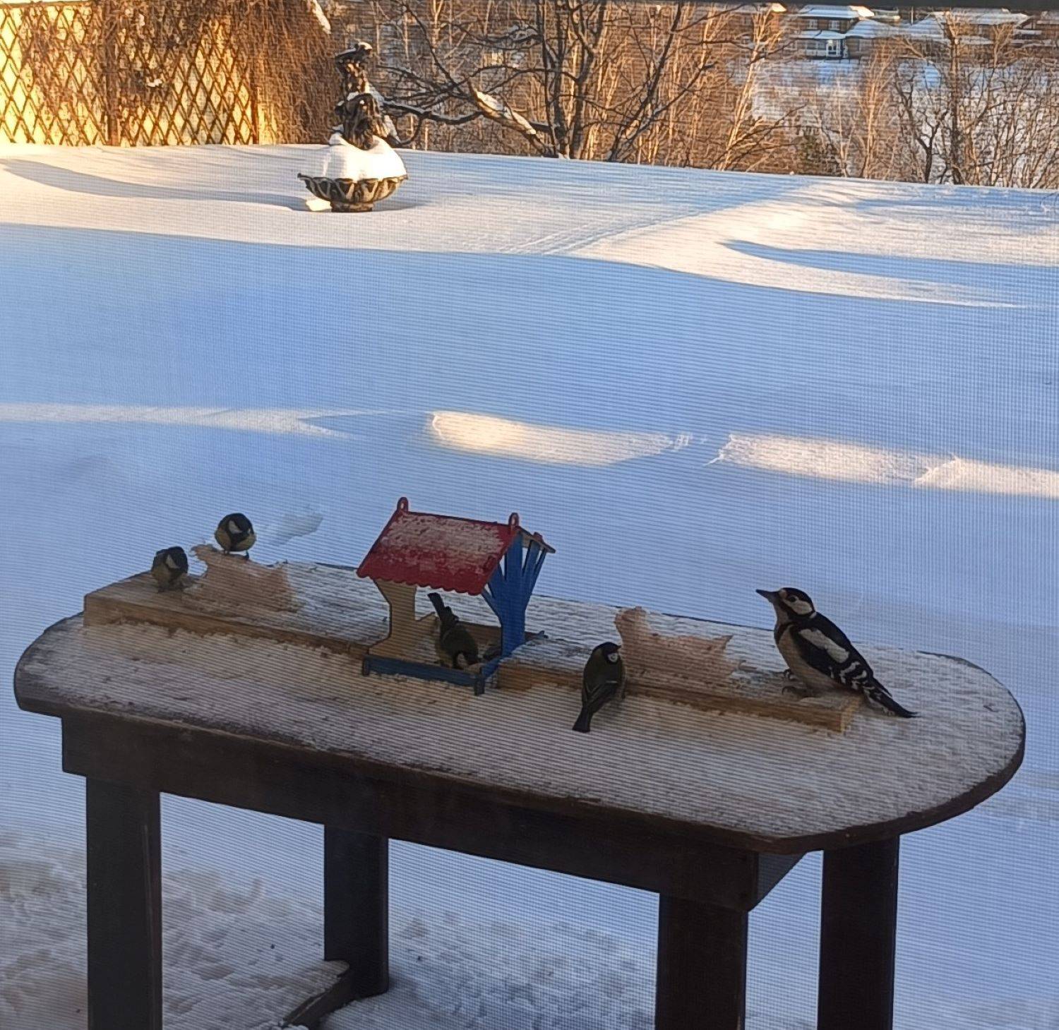 Photo #13707893