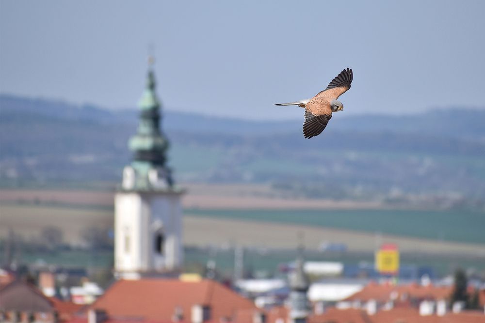Photograph by Bob Gajdoš