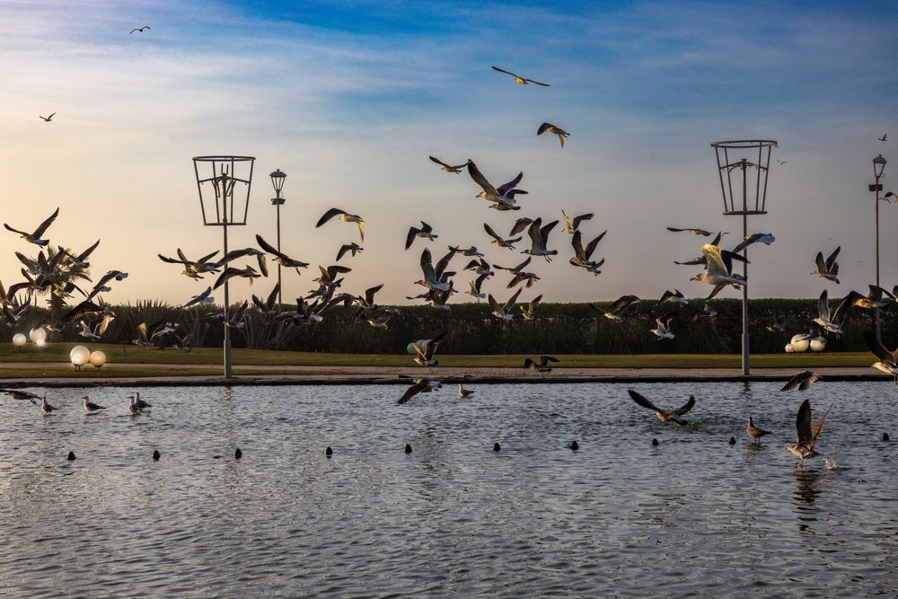 Photograph by Hicham Chraibi