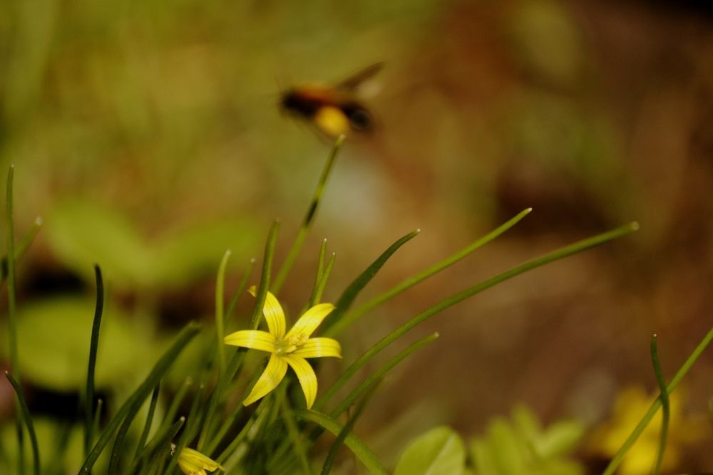 Photograph by Екатерина Александровна