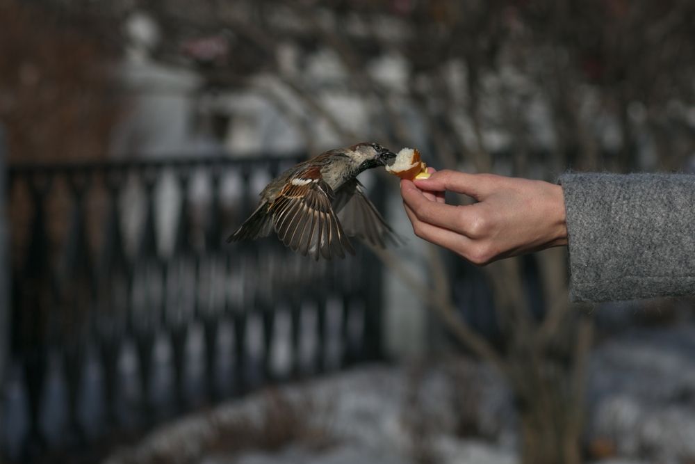 Photograph by Vera Trandina