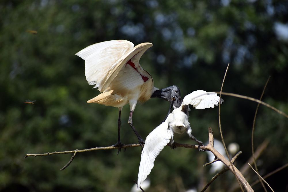 Photograph by Malatesh Garadimani