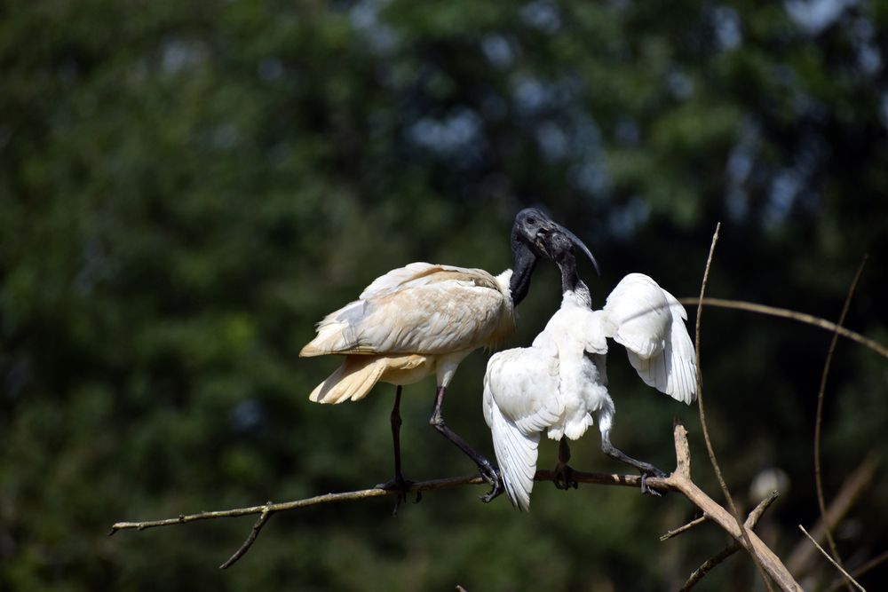 Photograph by Malatesh Garadimani