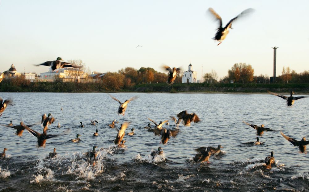 Photograph by Парк Юрский