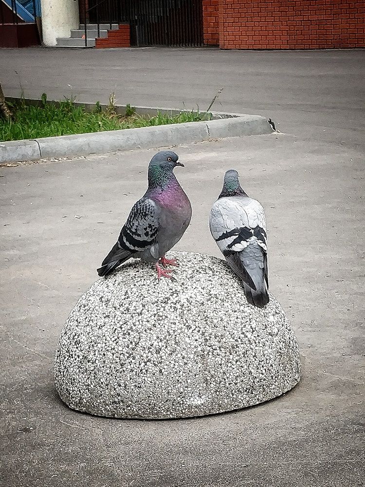 Photograph by Светлана Васильева