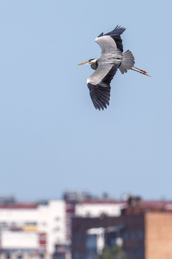 Photograph by Леонид Никитин