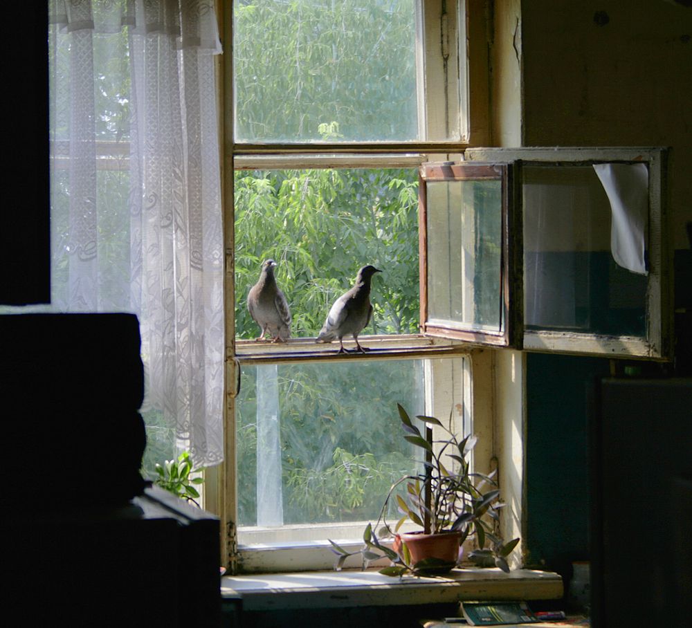 Photograph by Парк Юрский