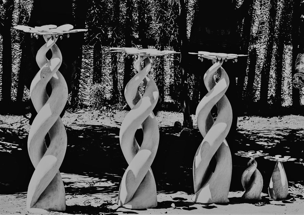 The Echo of the Baobabs