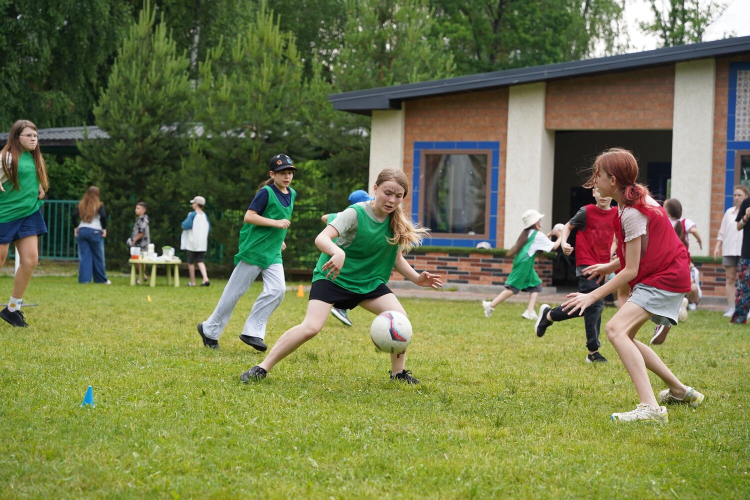 Photo #13708153