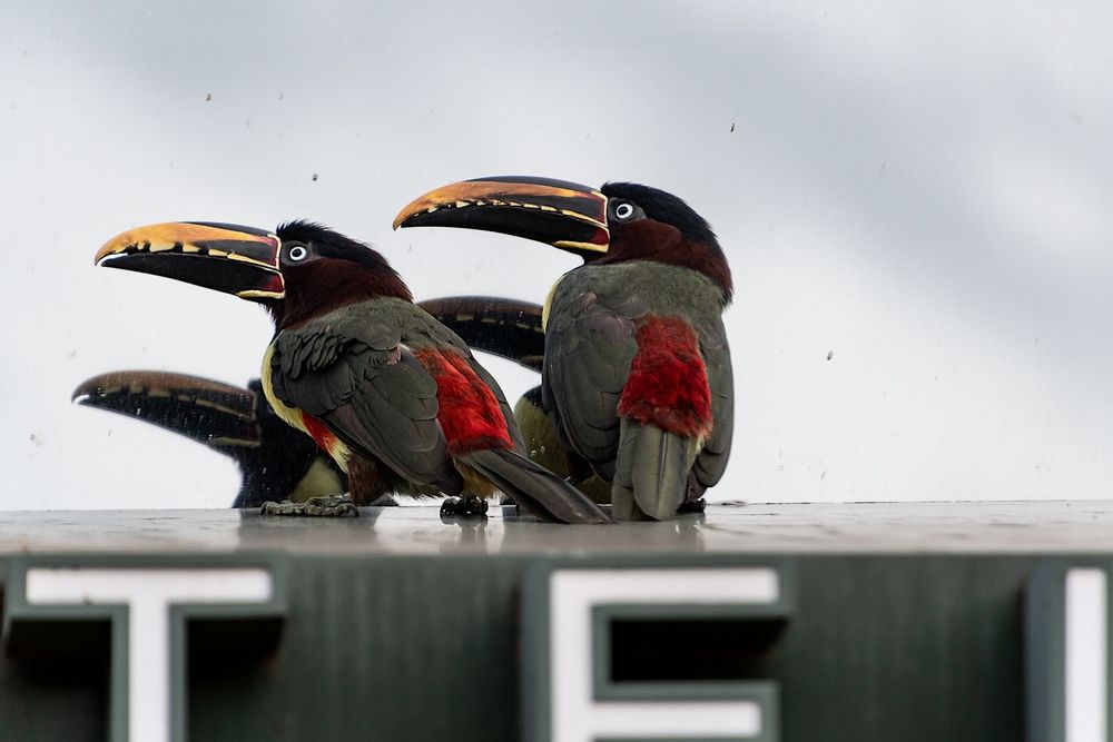 Photograph by Germán Garibay