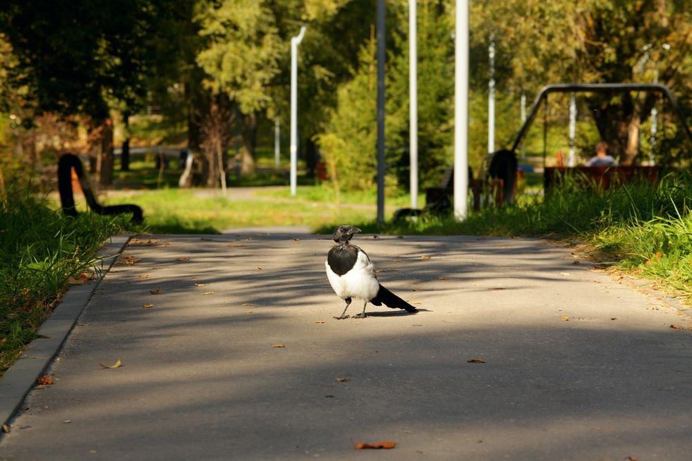 Photograph by Оксана Горбатовская
