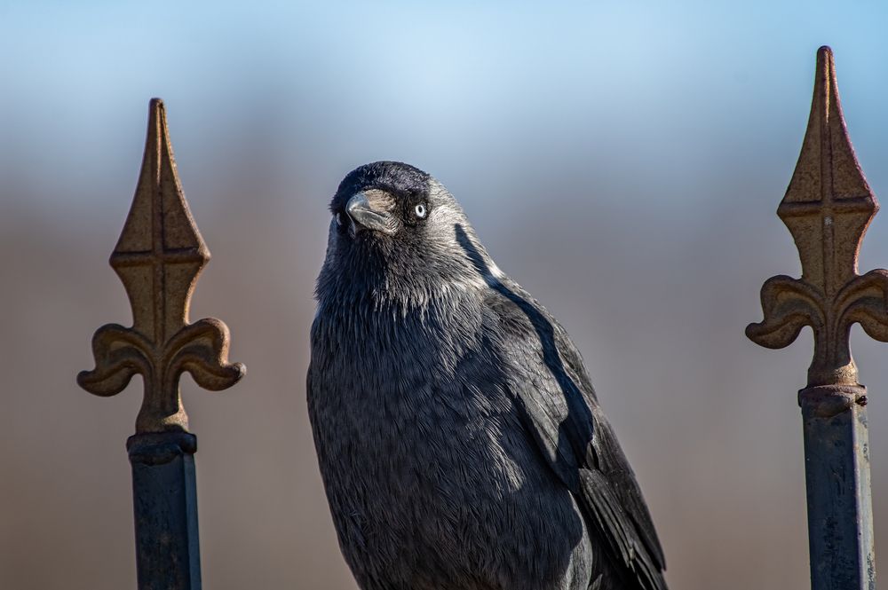 Photograph by Владимир Кузнецов