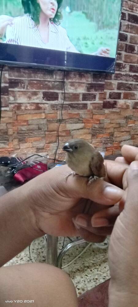 Photograph by Pugazhendhi Vibushnan