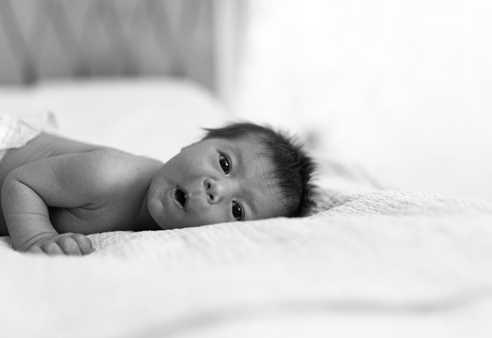 Photograph by Eliza Danianova
