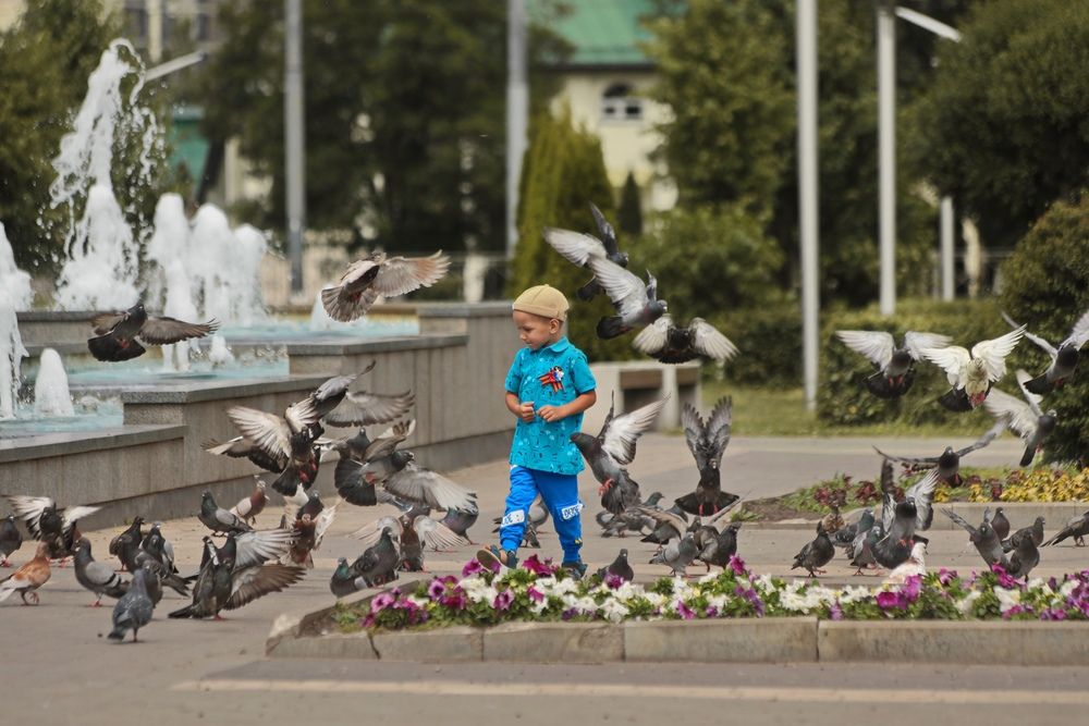 Фотография автора Татьяна Бравая