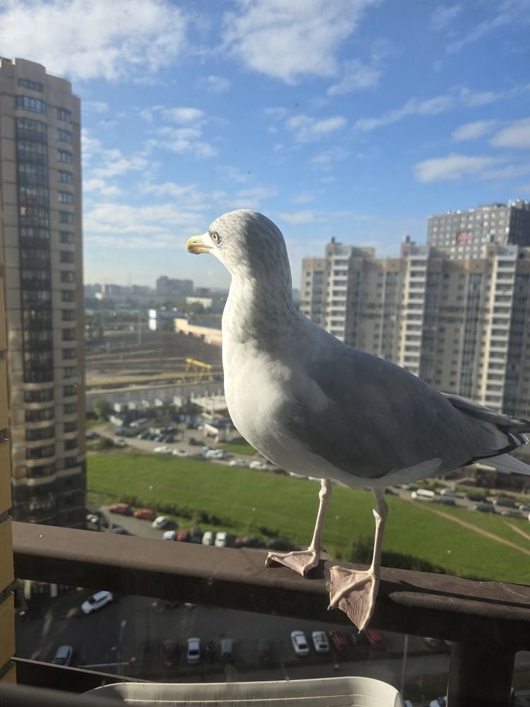 Photograph by Екатерина Галашичева