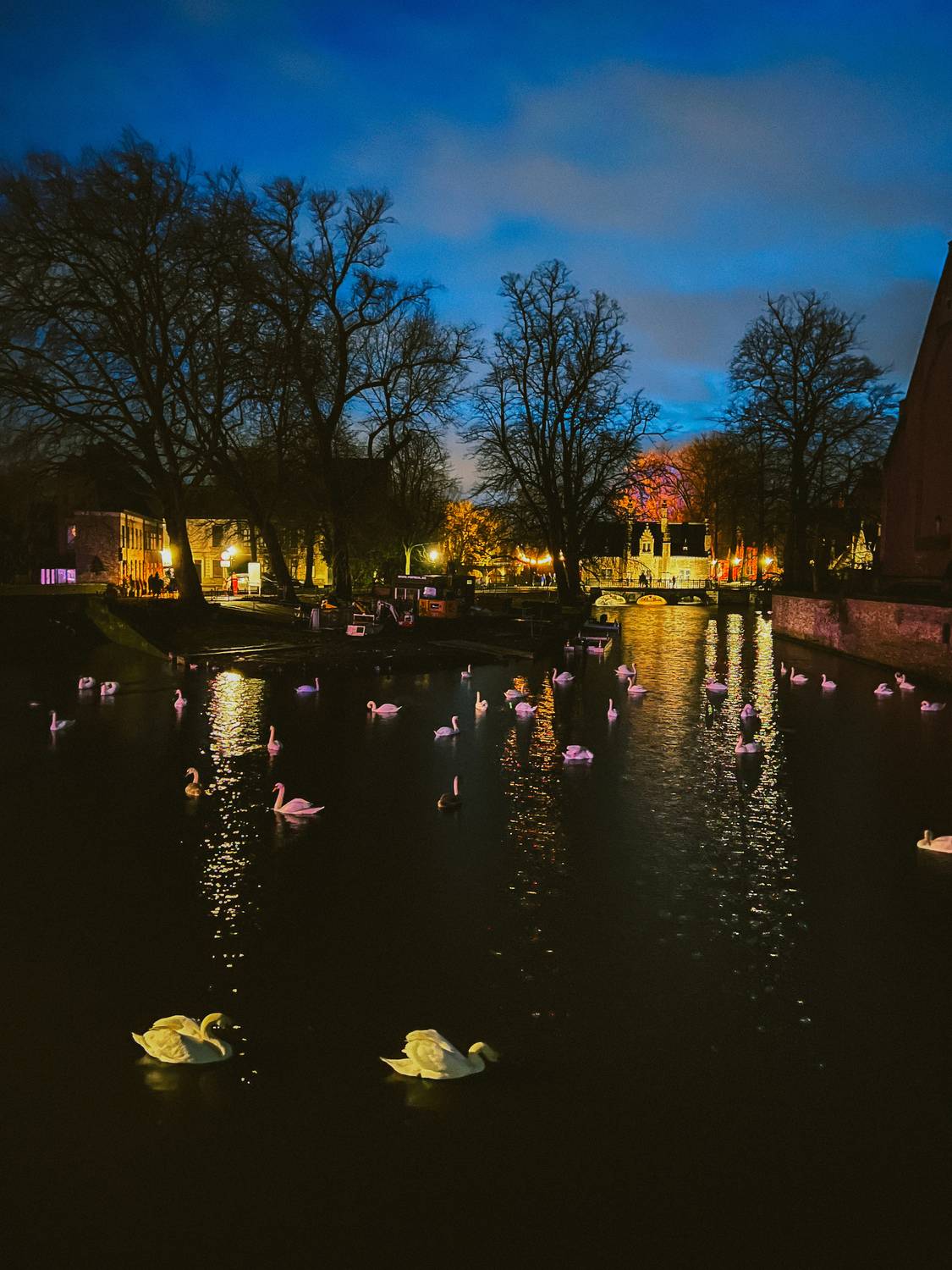 Photo #13708659