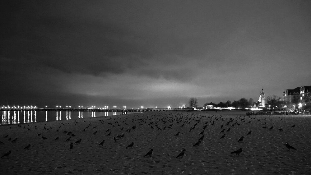,,Invasion,,