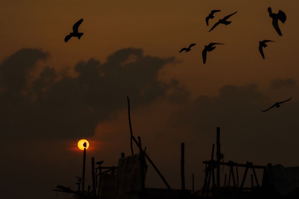 Photograph by Mano