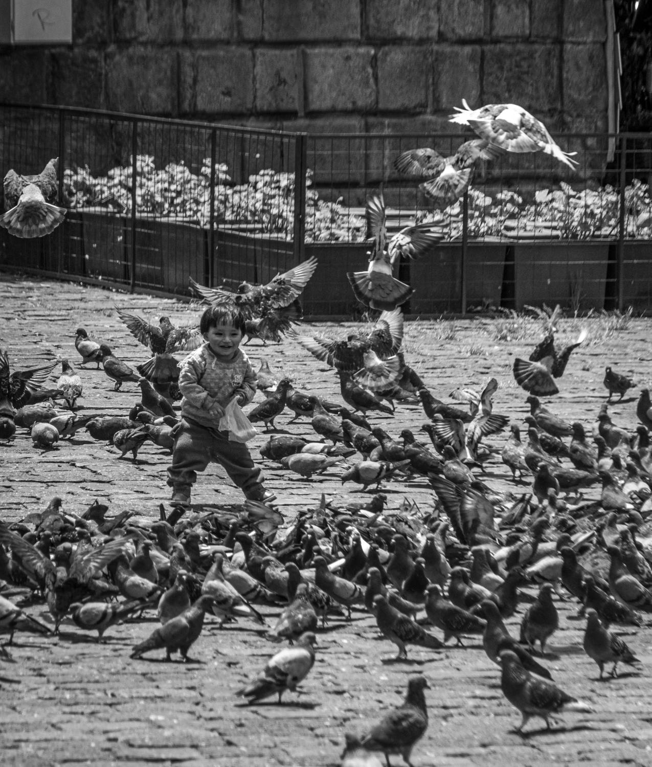Feeding time