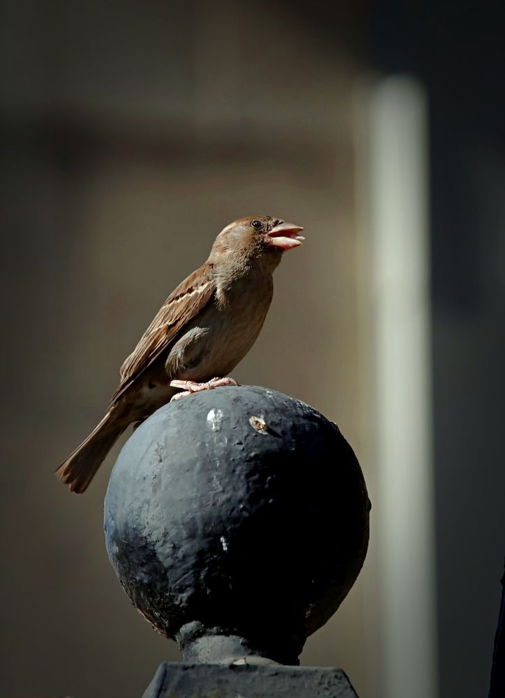 Photograph by Татьяна Слесарева