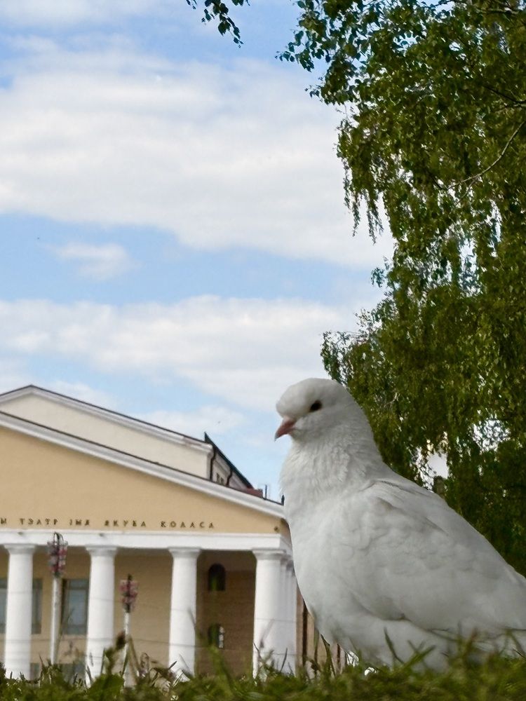 Photograph by Наталья