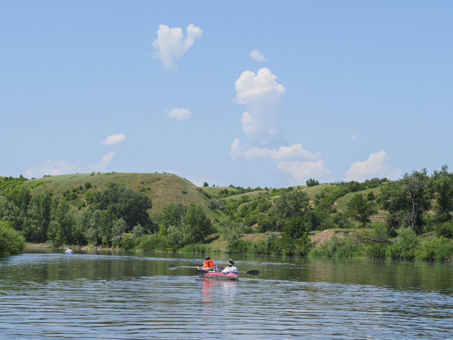 Photo #13708727