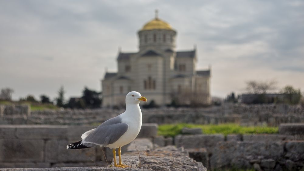 Photograph by Дмитренко Екатерина
