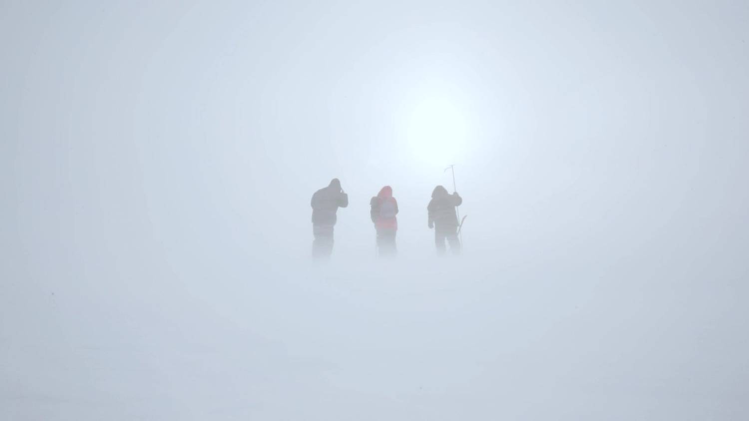 Photo #13708910