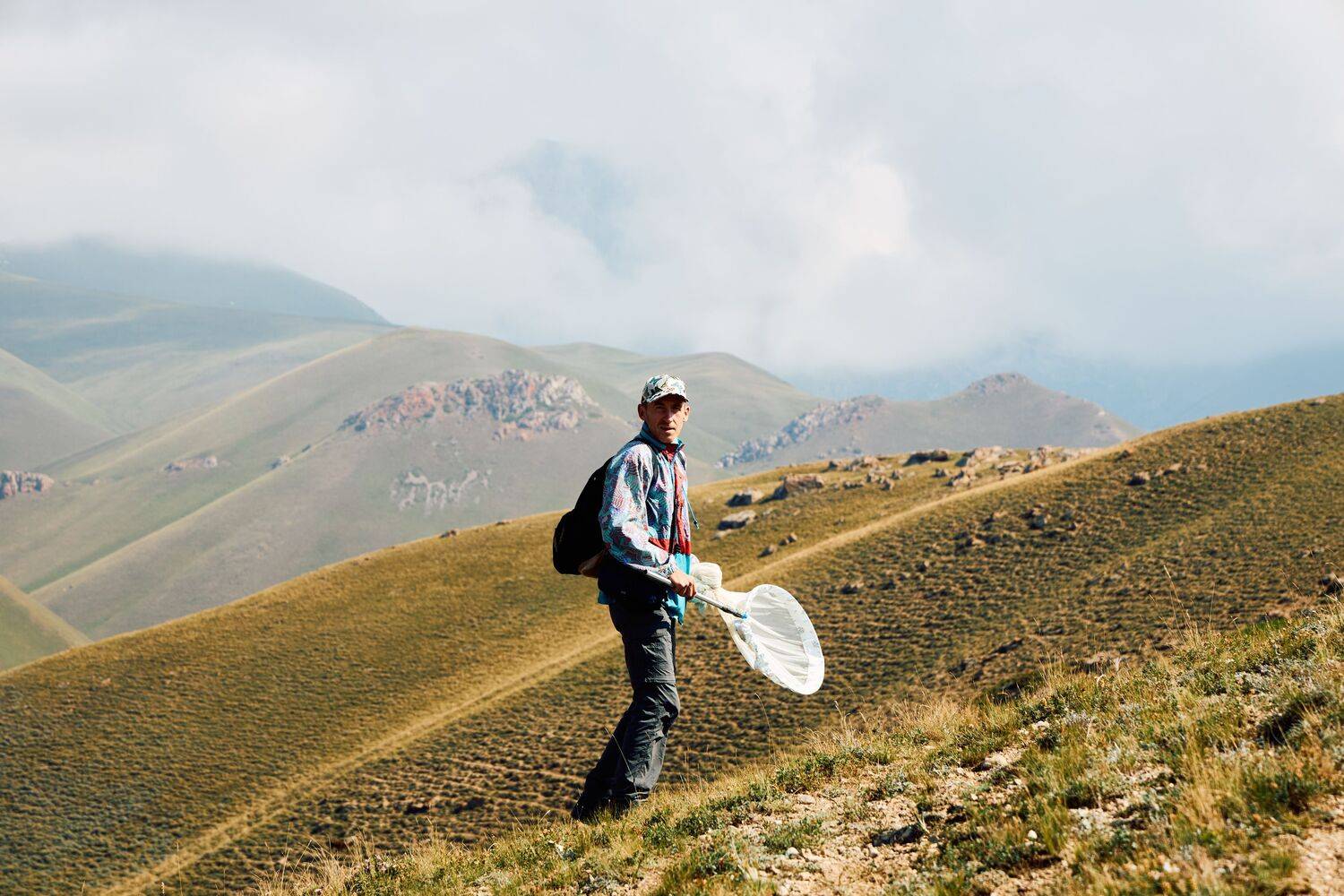 Photo #13708932