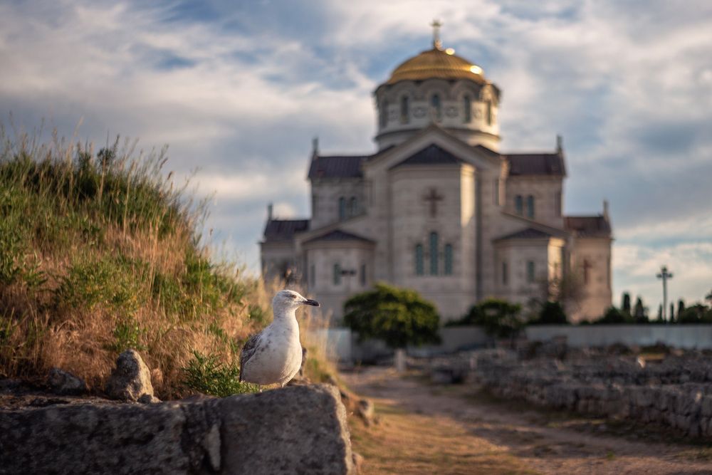 Photograph by Дмитренко Екатерина