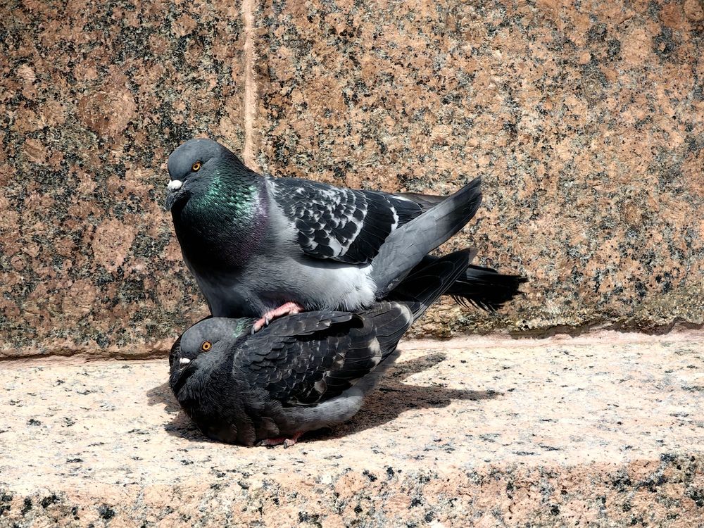 Photograph by Владислав Карасев