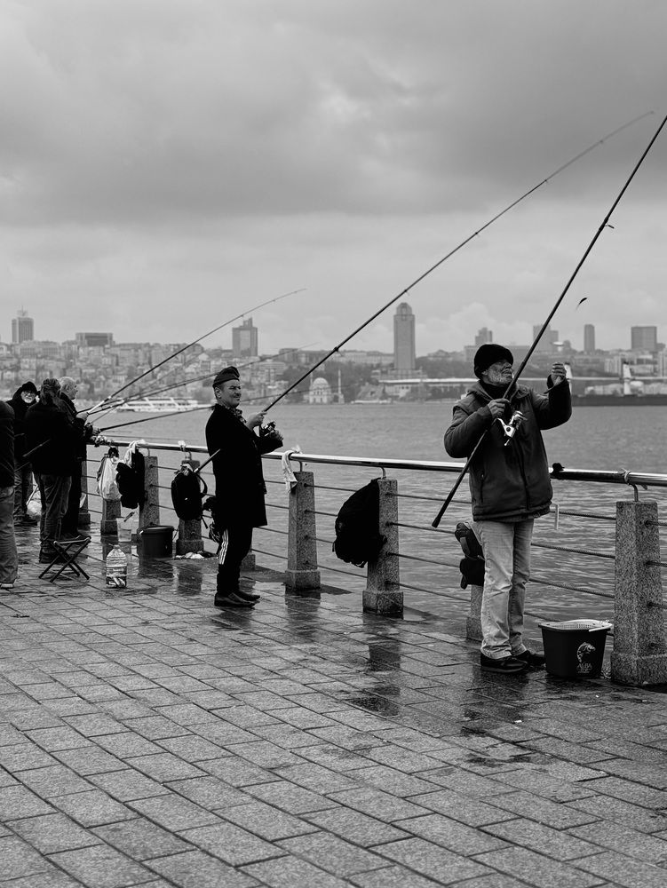 Photograph by Алена Кривцова