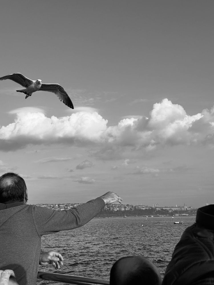 Photograph by Алена Кривцова